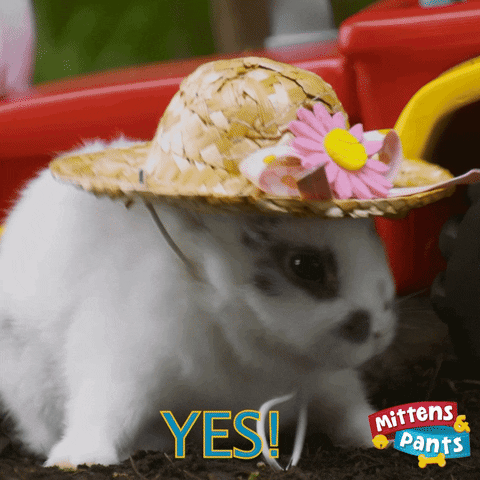 Windyisle yes bunny branded gifs mittens and pants GIF