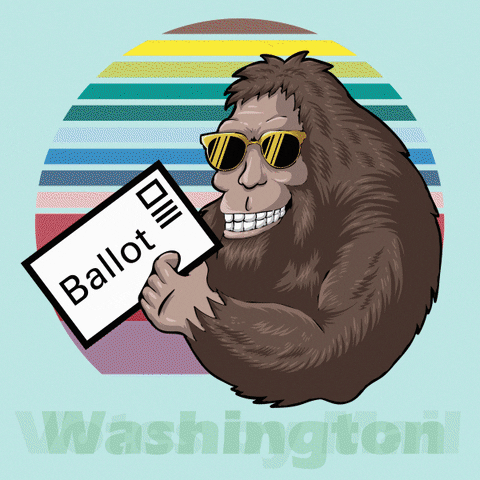 Vote Election GIF by Washington Secretary of State