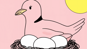 Bird Love GIF by Dovemania!