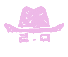 Cowboy Hat Sticker by Cowboy 2.0