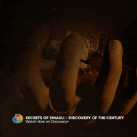 200.gif?cid=fc005b084c7871d7bf5b4e94b56665ac28e45c0beca40bbd&rid=200.gif&ct=g