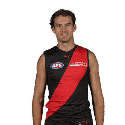 Dons Bombers Sticker by Essendon FC