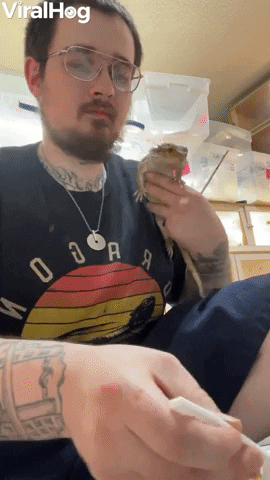 Bearded Dragon Wants Mans Meal GIF by ViralHog