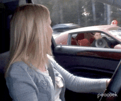 Pull Over Season 9 GIF by The Office