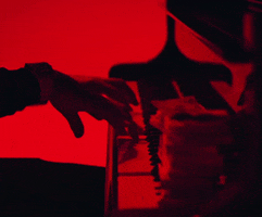 Cash Piano GIF by French Montana
