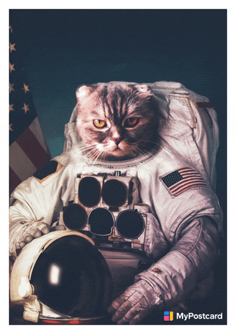 Giphy - Cool Cat Space GIF by MyPostcard