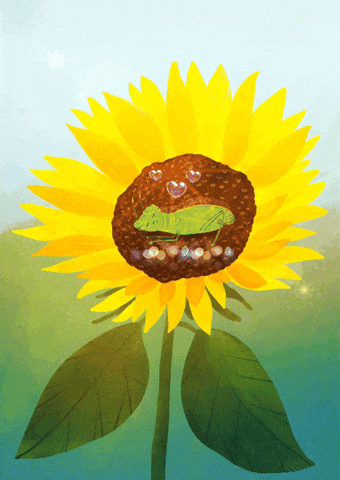 Sunflower Grasshopper GIF