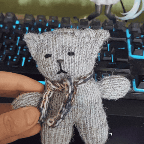 Cat Isabel GIF