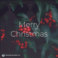 Merry Christmas GIF by Spraying Systems Co