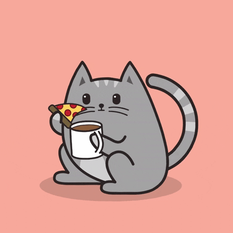 Cat Coffee GIF by Meowingtons