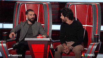 Agreeing Dan And Shay GIF by The Voice