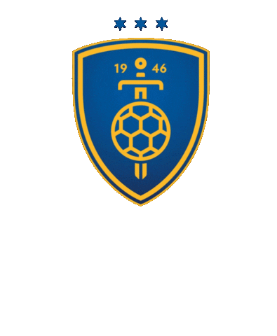 RK CELJE Sticker