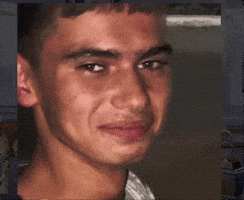 Navigator Navruz GIF