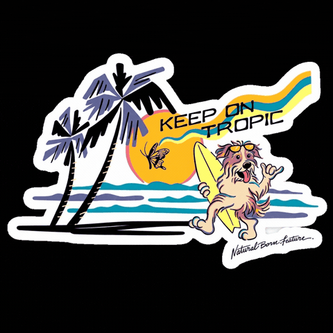 Japan Surfing GIF by CORAL RESORT VILLA aoshima