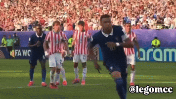 Celebration Referee GIF