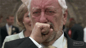 GIF by Giphy QA
