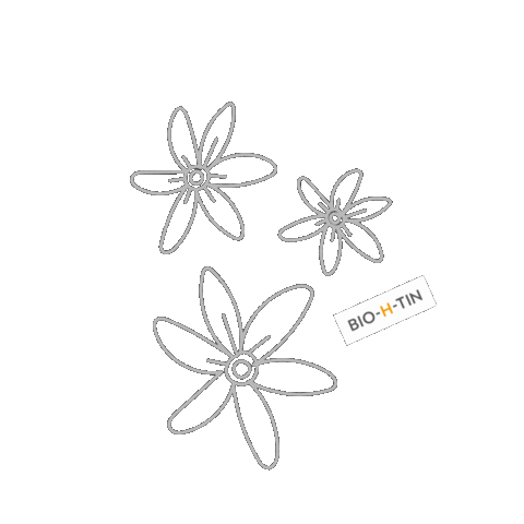 Flower Spring Sticker by Dr. Pfleger