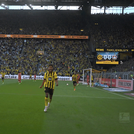 Celebration GIF by Borussia Dortmund