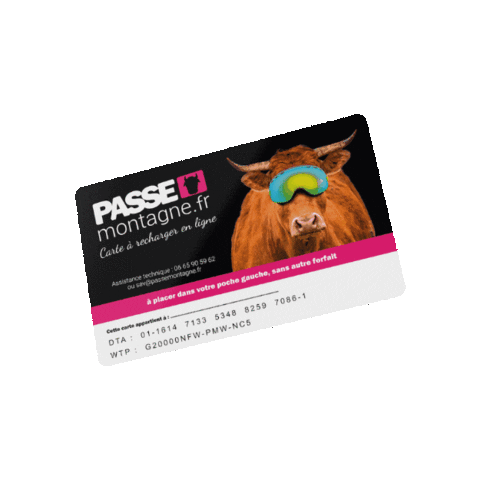 PASSE MONTAGNE Sticker