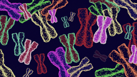 dna
