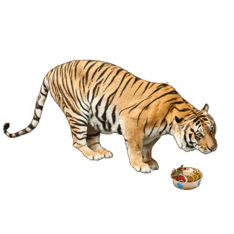 Tiger Sticker by Foodmaker