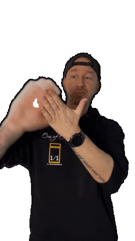 Money Dollars Sticker by SIGNTOURS