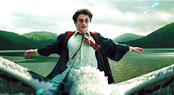 Harry Potter Hp GIF - Find & Share on GIPHY