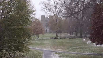 First Snow GIF by Swarthmore College Libraries