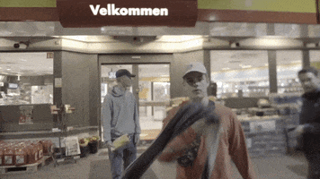 party rap GIF by Vibbefanger