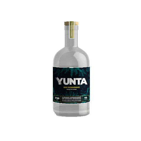Gin Yunta Sticker