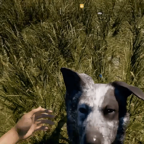 zacmnr  GIF