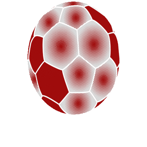 Club Handball Séveragais Sticker