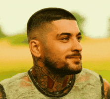 Zayn Malik GIF