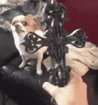 Christ GIFs - Get the best GIF on GIPHY Christ GIFs - Get the best GIF on GIPHY