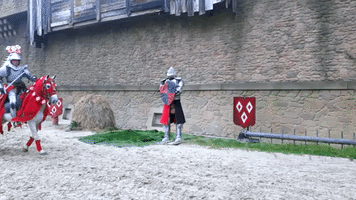 Come On Horse GIF