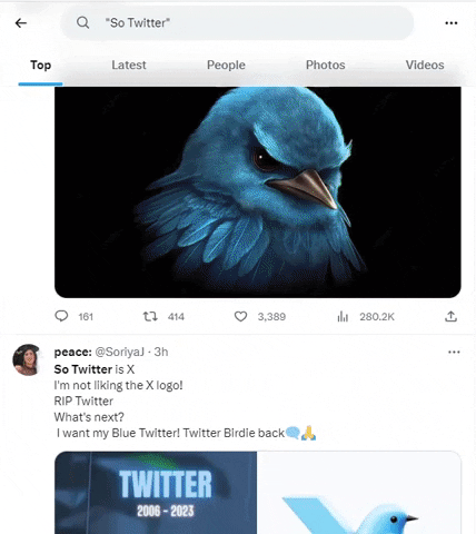 Twitter X GIF