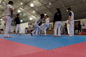 capoeira GIF by Shock