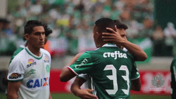 gabriel jesus GIF by SE Palmeiras