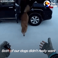 200.gif?cid=fc005b08c155afb2cf2281d5a4bc208f19242263f24051e5&rid=200.gif&ct=g