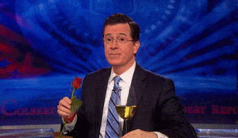 Stephen Colbert Television GIF