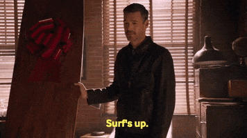 surfs up taketwoabc GIF by ABC Network