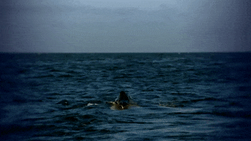 hungry discovery channel GIF by Discovery Europe