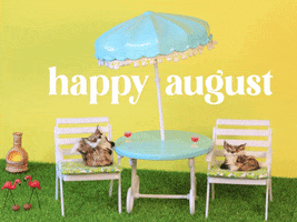Stop Motion Summer GIF by Stephanie