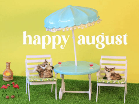 Stop Motion Summer GIF by Stephanie - Find & Share on GIPHY