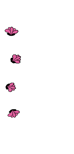 Magnolia Sticker