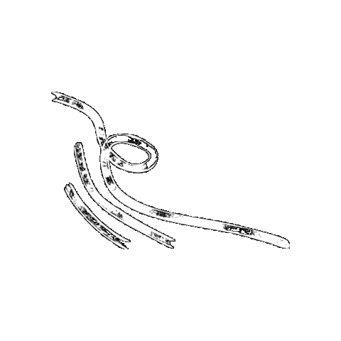 Njc2026 Sticker by deblazers