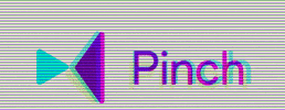 Pinchvideo GIF by Pinch