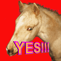 Horse Yes GIF by BuzzFeed Animation