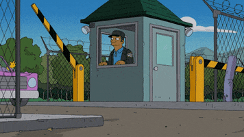 the simpsons homer GIF by Fox TV