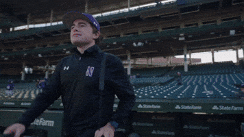 Caden Greco GIF by Northwestern Athletics